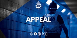 Police appeal over late night town centre assault