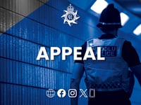 Police appeal over late night town centre assault