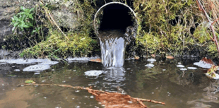 Campaigners slam Welsh Water over sewage pollution 