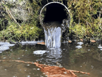 Campaigners slam Welsh Water over sewage pollution 