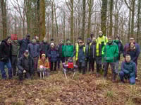 Oxford University team gives woodland robot demo