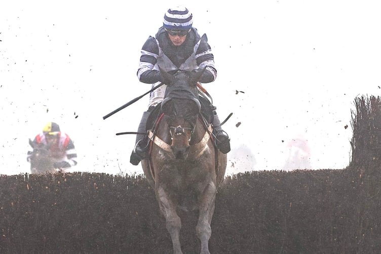 Katate Dori - seen winning at Chepstow in January - stormed to the Ladbrokes Trophy