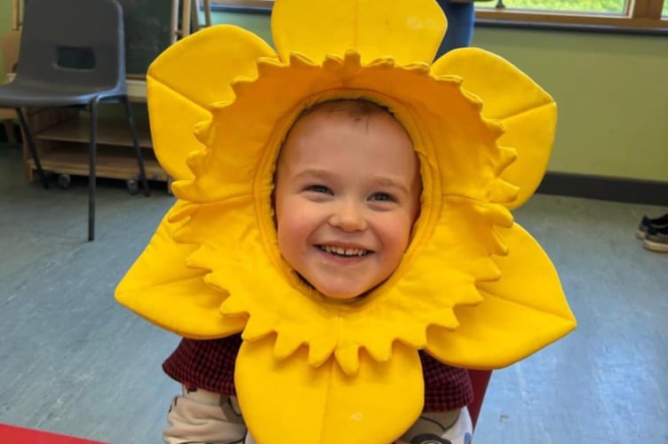 A popular costume for St David's Day
