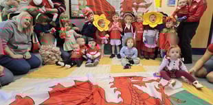 Dydd Gŵyl Dewi Hapus from Busy Bees