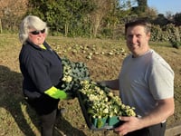 Town council funding helps town to come alive for spring