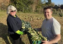 Town council funding helps town to come alive for spring