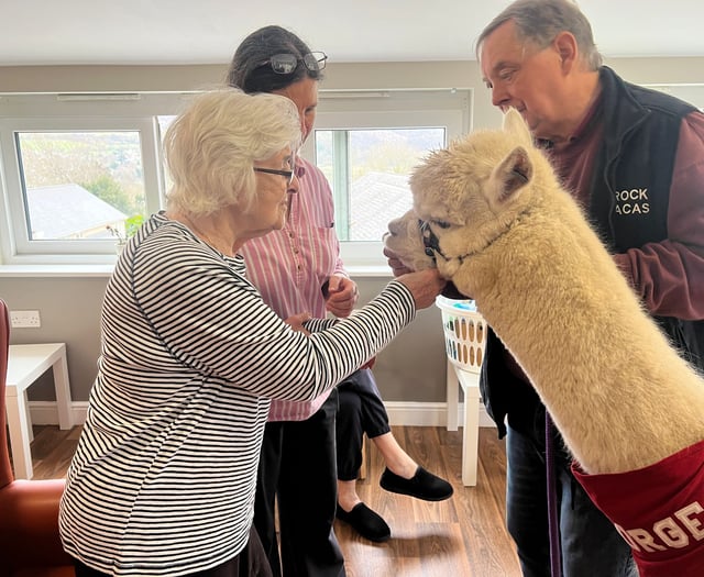 Alpaca visit delights nursing home residents