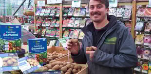 Cardiac charity's 2025 potato challenge returns