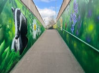 Murals transform Monmouth underpass