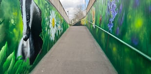 Monmouth murals unite visually impaired group