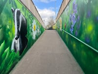 Murals transform Monmouth underpass