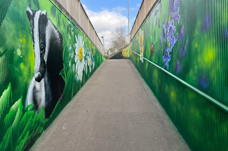 Some of the murals in the underpass in Monmouth 