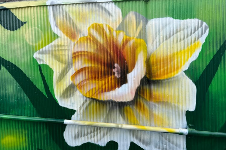 One of the designs of murals 