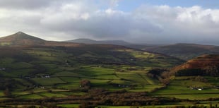 Monmouthshire litter issue raised in Senedd