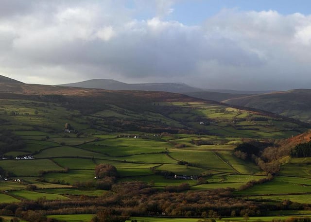 Monmouthshire litter issue raised in Senedd