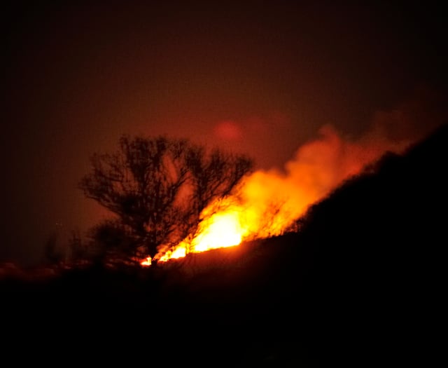 Welsh Government to address wildfire risks