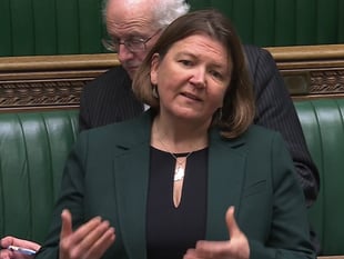 Green Parliamentary leader Chowns slams Trump over Greenland tariff