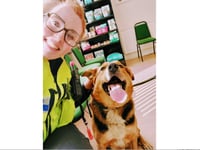 Dog seen loose on A40 dual carriageway rescued