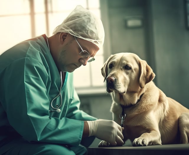 Avoid vet visits  by keeping ‘toxic’ Easter treats away from pets