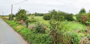 Glamping site approved near Raglan