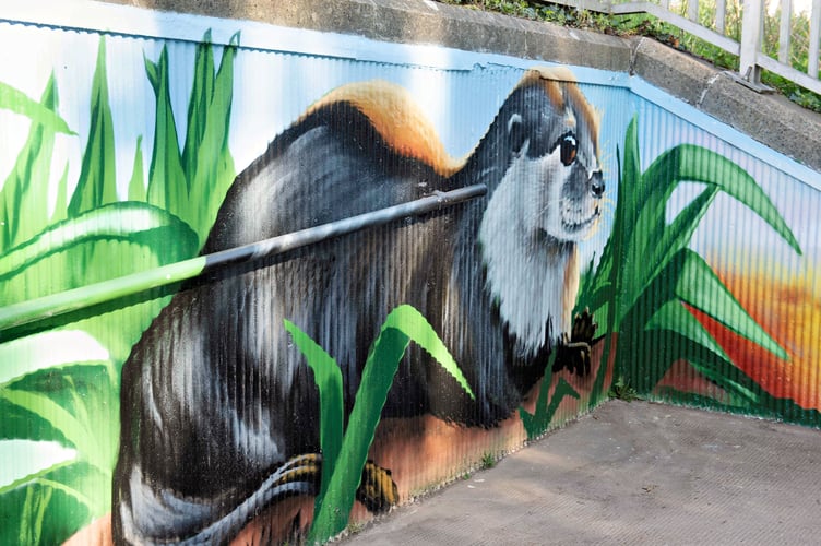 An otter,  the Wye river catchments have a thriving otter population,