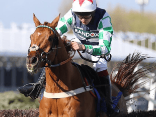 Sam's Our Power goes so close in Sandown Gold Cup finale
