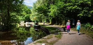 Wildlife harm sparks police patrols in Monmouthshire