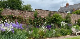 Monmouth's historic gardens open for NGS