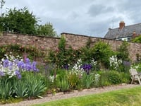 Monmouth's historic gardens open for NGS