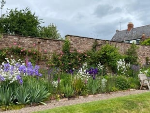 Monmouth's historic gardens open for NGS