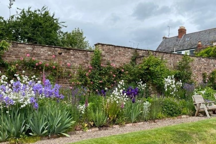 The garden at St John's