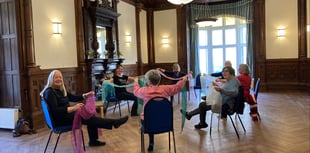 Seated Silver Swans Ballet in Monmouth