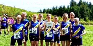 Spirits wander off beaten track in Bluebell Blunder