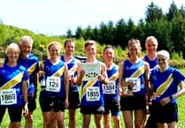 Spirits wander off beaten track in Bluebell Blunder