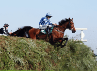 O'Shea's Cheltenham contenders shine