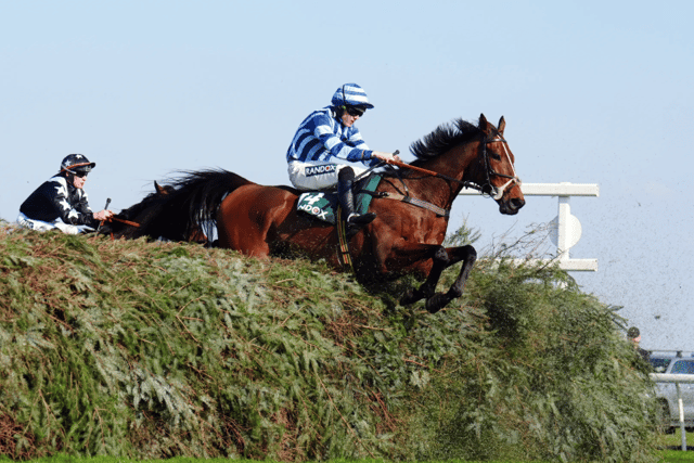O'Shea's Cheltenham contenders shine
