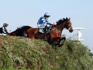 O'Shea's Cheltenham contenders shine