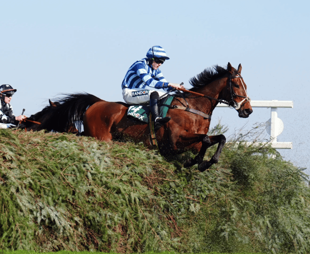 O'Shea's Cheltenham contenders shine