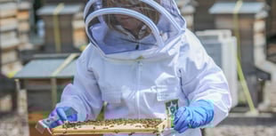 Ceri's keeping buzzy as Gwent's first master beekeeper