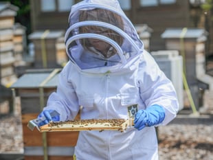 Ceri's keeping buzzy as Gwent's first master beekeeper
