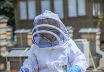 Meet Gwent's pioneering master beekeeper