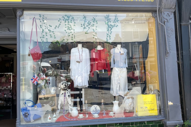 Dogs Trust VE day decorated window display