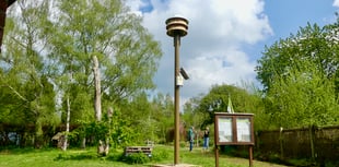 £18,000 Swift Tower in Usk Boosts Bird Recovery