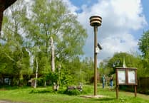 £18,000 Swift tower supports urban bird recovery