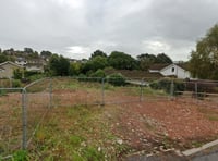 New homes plan backed despite neighbours' opposition