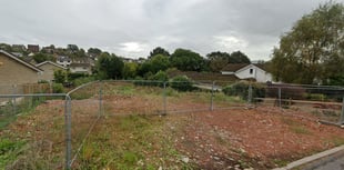 New homes plan backed despite neighbours' opposition