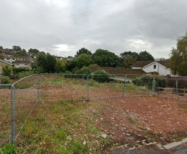 New homes plan backed despite neighbours' opposition
