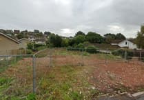 New homes plan backed despite neighbours' opposition
