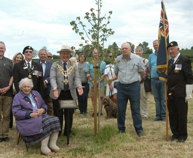 Peace tree planted at Violette Szabó museum