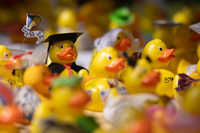 The annual Chepstow duck race returns!